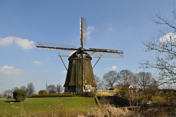 Olanda, mulino a vento (da www.turistipercaso.it) 