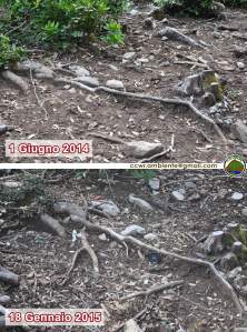 Foresta demaniale del Marganai, erosione del terreno nel bosco