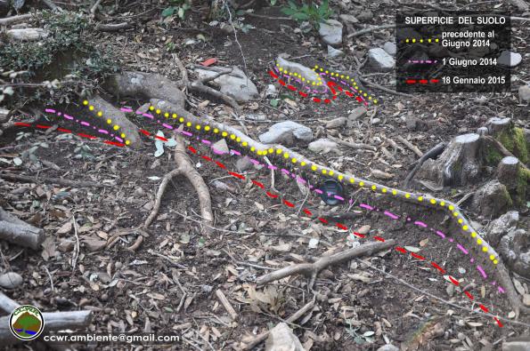 Foresta demaniale del Marganai, erosione del terreno nel bosco