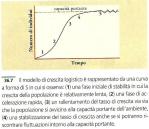 crescita logistica.jpeg