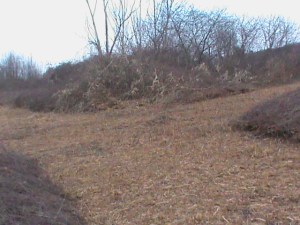 Selvazzano Dentro, ex discarica di Via Bressan