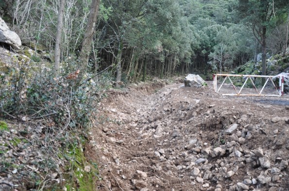 Foresta demaniale del Marganai, erosione del terreno nel bosco