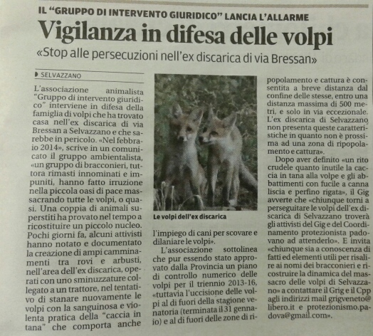 Il Mattino di Padova, 11 febbraio 2015