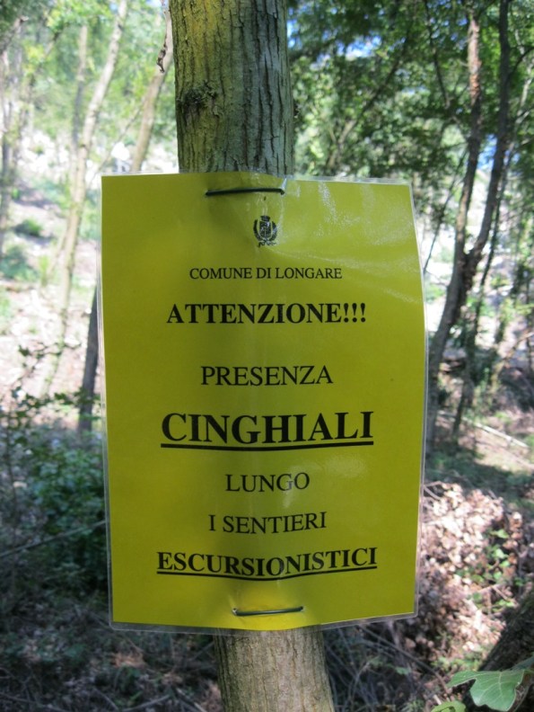 Longare, cartello "pericolo Cinghiali"