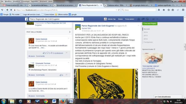 Parco naturale regionale dei Colli Euganei, rassicurazioni sulla tutela dei Rospi