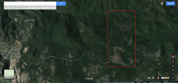 Foresta demaniale del Marganai, tagli boschivi (da Google Earth)