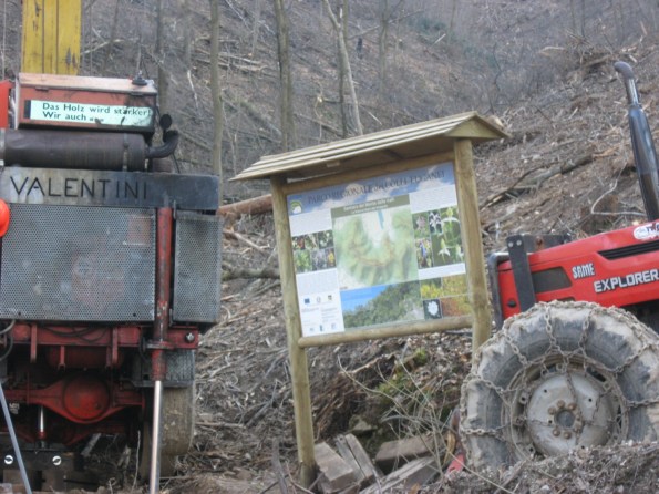 Parco naturale regionale dei Colli Euganei, Torreglia, taglio alberi