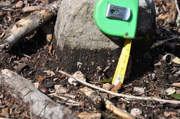 Foresta demaniale Marganai, area dei primi interventi di taglio, erosione (loc. Caraviu e su Isteri, Comune di Domusnovas)
