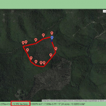 Foresta demaniale del Marganai, primo taglio 2011