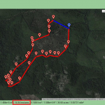 Foresta demaniale del Marganai, secondo taglio&nbsp;2012