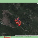 Foresta demaniale del Marganai, quarto taglio,&nbsp;2013