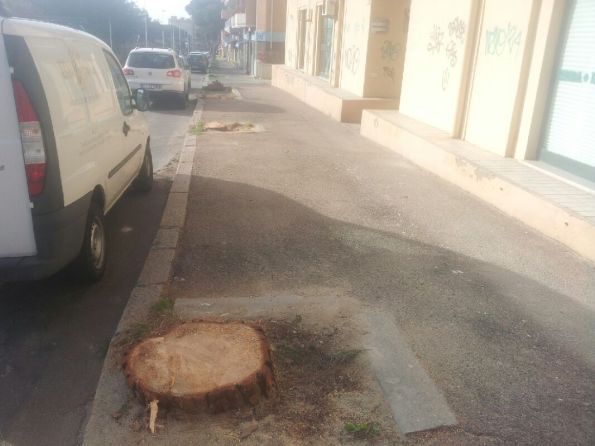 Carbonia, Via Trieste, alberi tagliati