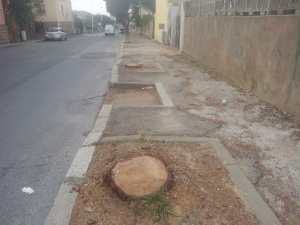 Carbonia, alberi tagliati Via Trieste (2015)