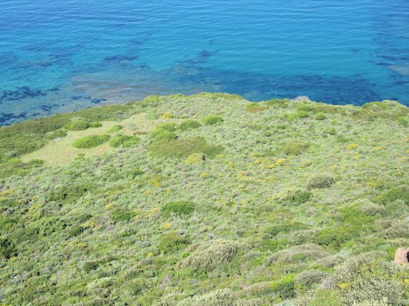 mare e coste (foto Benthos)