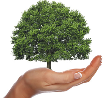 mano_alberiamo_padova_2