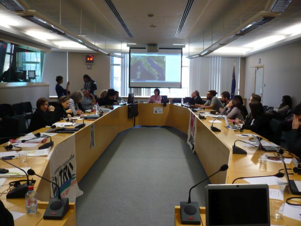 Bruxelles, Parlamento europeo, audizione dei rappresentanti ambientalisti presso la Commissione ENVI