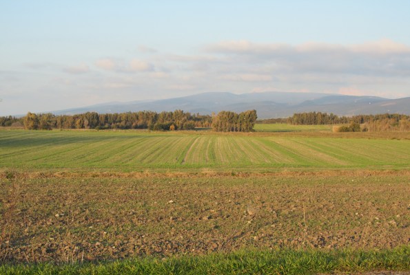 paesaggio agrario
