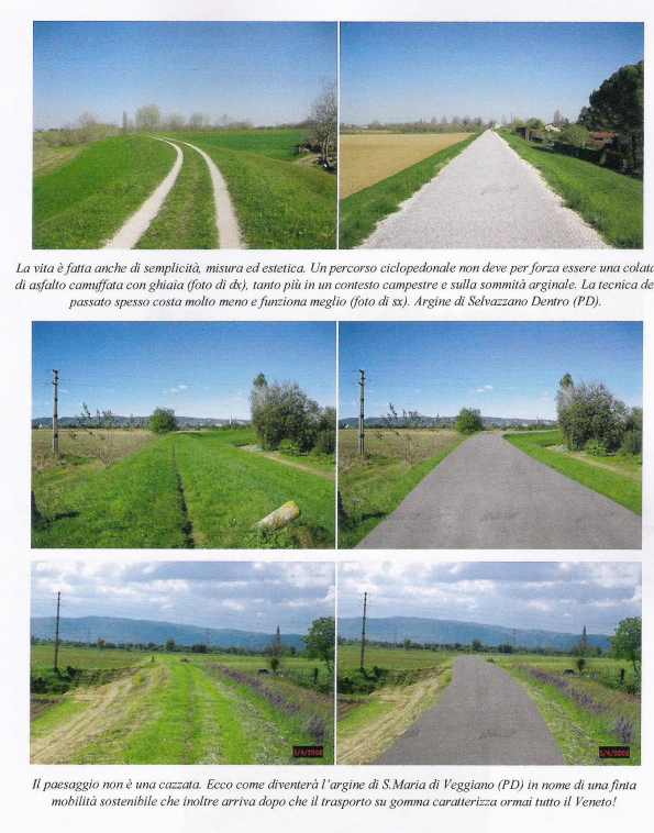 Veneto, consumo del territorio