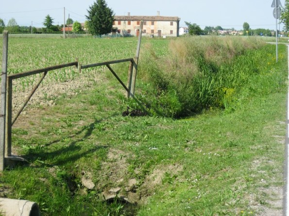 Campagna padovana