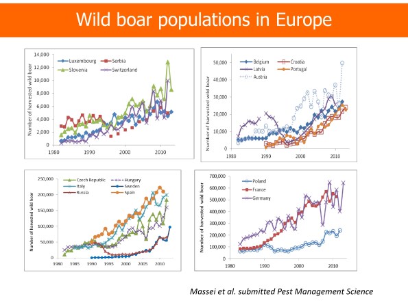 da “Wild boar populations up, numbers of hunters down? A review of trends and implications for Europe.”