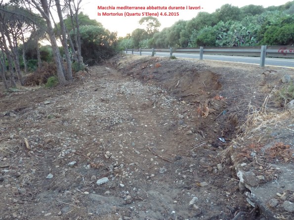 Quartu S. Elena, Is Mortorius, vetegazione mediterranea estirpata (giugno 2015)