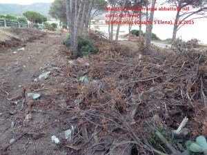 Quartu S. Elena, Is Mortorius, vetegazione mediterranea estirpata (giugno 2015)