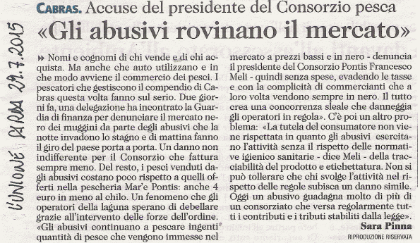 L'Unione Sarda, 29 luglio 2015