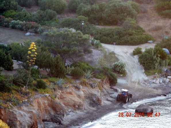Villasimius, Porto Luna, ruspa sulla spiaggia (28 luglio 2015)