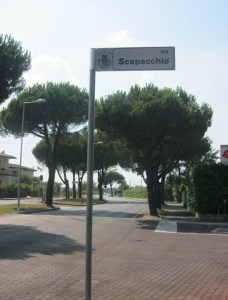 Selvazzano, alberi di Via Scapacchiò