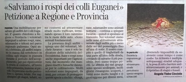 Il Corriere del Veneto, 28 luglio 2015