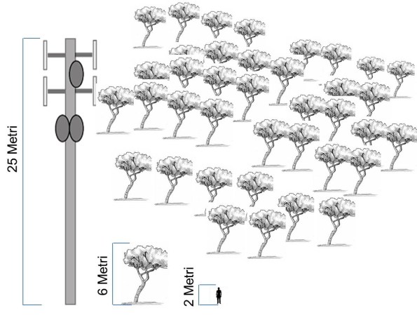 simulazione impatto visivo del progetto di ripetitore telefonico nel Promontorio di Porto Pino
