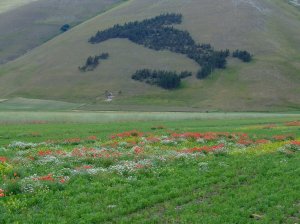 Norcia, Piani di Castelluccio