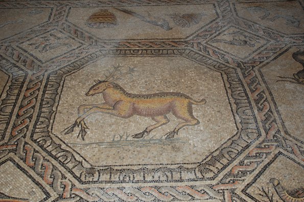 Aquileia, Basilica patriarcale di S. Maria Assunta, mosaico