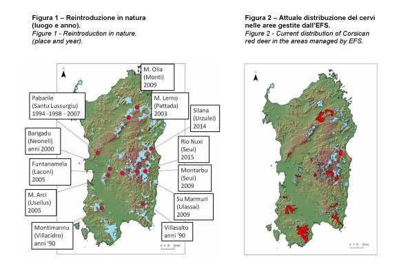 presenza del Cervo sardo in Sardegna