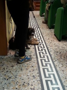 Assemblea pubblica Bosa 17.10.2015