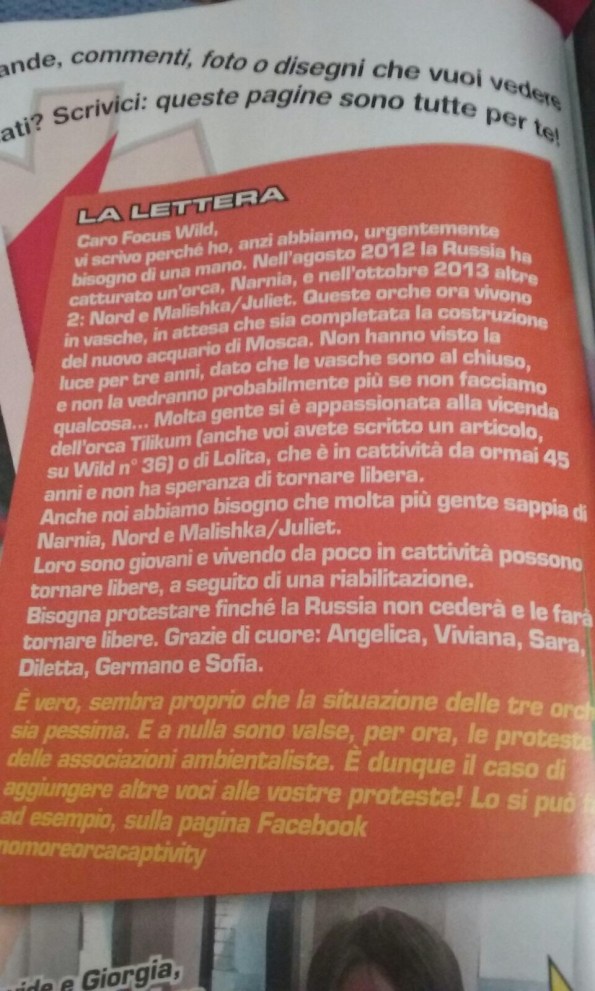 Focus Wild, lettera per la liberazione delle Orche