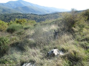Calenzano, Le Croci, Monti della Calvana