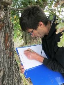 il dott. Gabriele Pezzani durante le operazioni di censimento (ott. 2015)