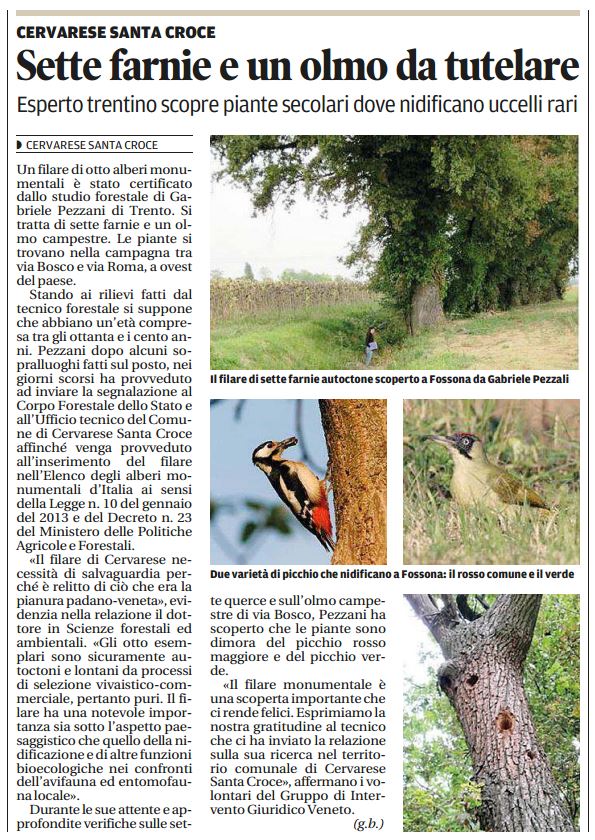 Il Mattino di padova, 2 novembre 2015