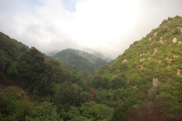 Sardegna, versanti boscosi