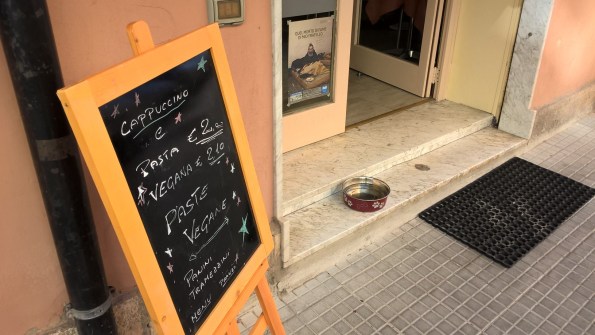 Cagliari, Sissi Caffè, ciotola per cani e gatti
