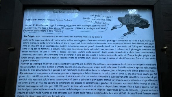 Foresta demaniale "Sette Fratelli", cartello didattico sul Grifone con richiesta di correzione 