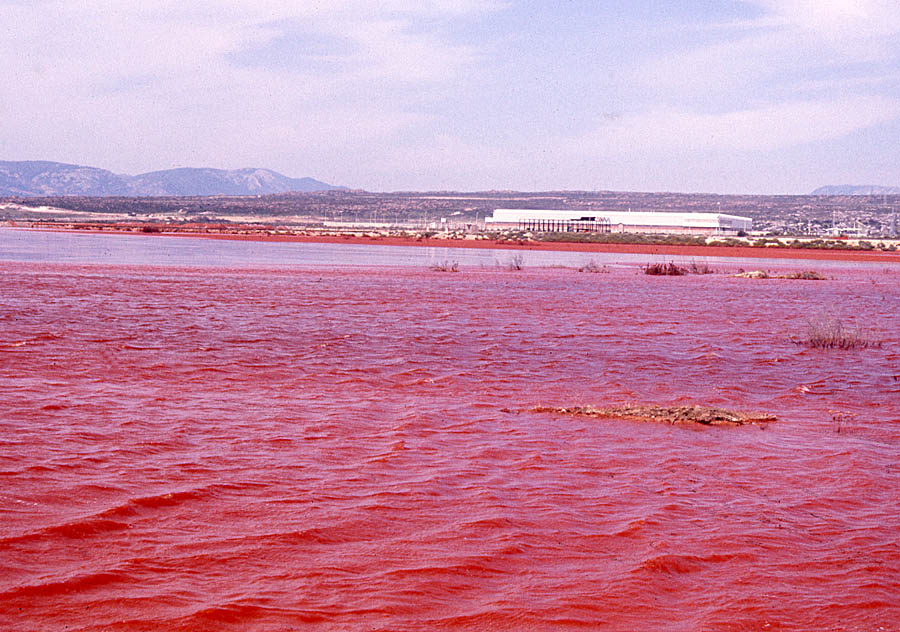Portovesme, bacino "fanghi rossi" bauxite (foto Raniero Massoli Novelli, 1980)