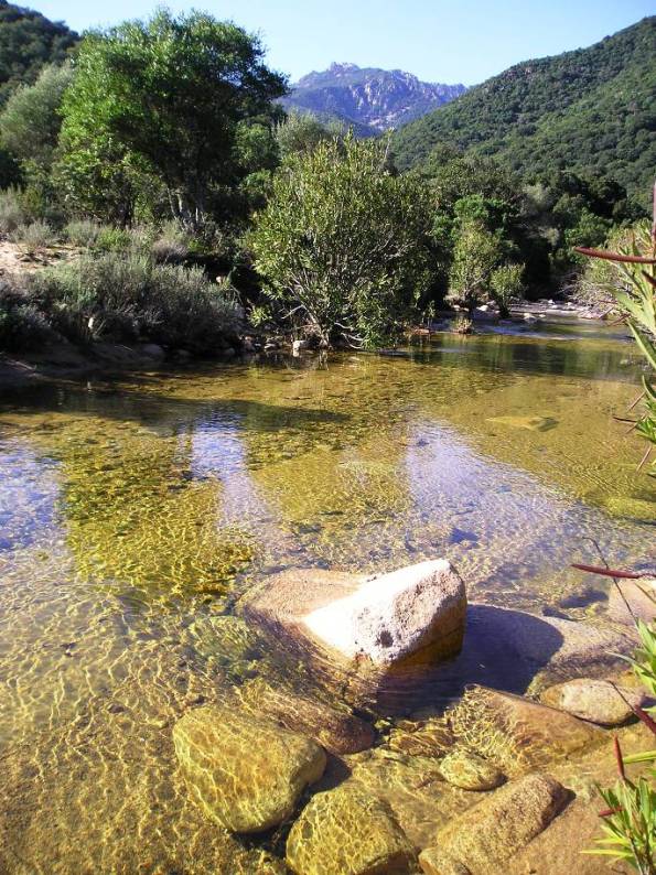 foresta mediterranea del Sulcis