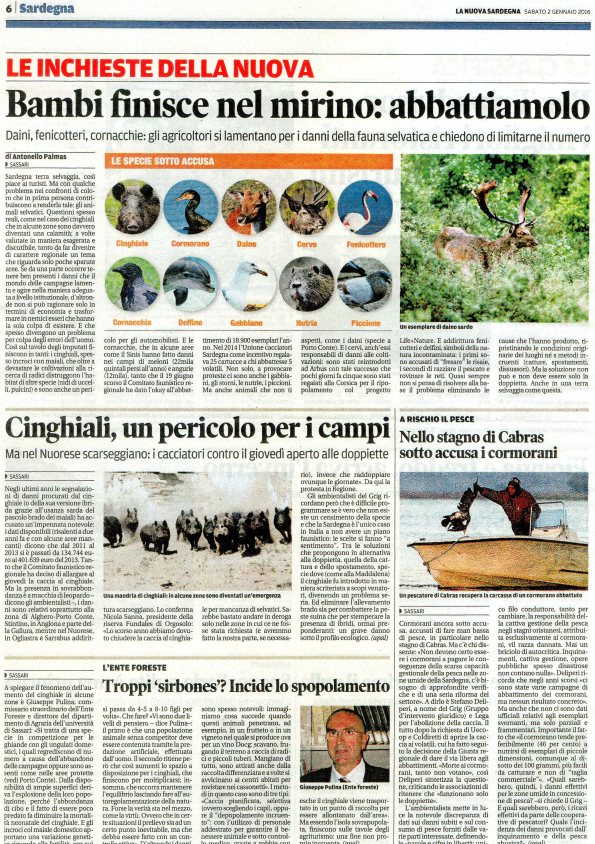 La Nuova Sardegna, 2 gennaio 2016