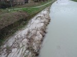 Massa, Fiume Frigido biancastro, 11 gennaio&nbsp;2016