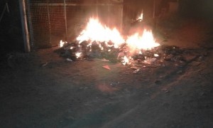 Selargius, loc. Sa Muxiurida, rogo di rifiuti - Copia