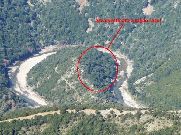 ansa boscata del Fiume Flumendosa destinata al taglio