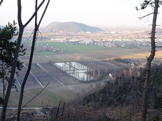 Colli Euganei, area umida di Torreglia