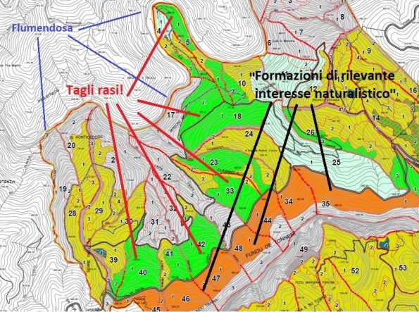Seui, Foresta demaniale di Montarbu, comprese
